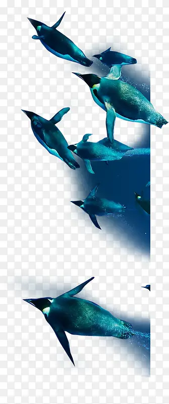 ����-������