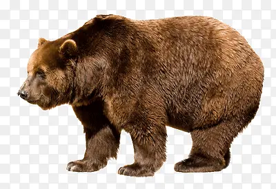 ����-������