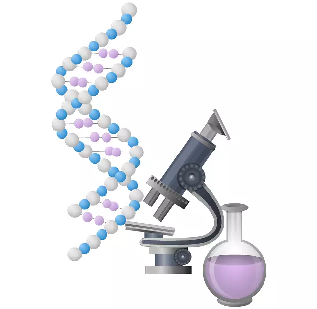 ʵ�������ﻯѧ�о���ѧ�о�-������