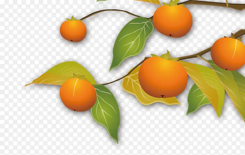 ˮ��-������