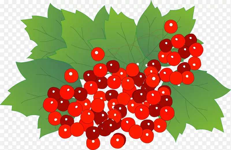 ɣ�����Ѹɽ���ʳƷ����ˮ��-�߲�-������