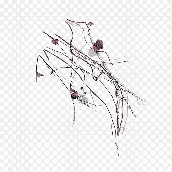 ��֦-������