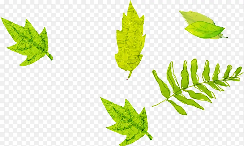 �ֻ�Ҷ��ʱ�л���-������