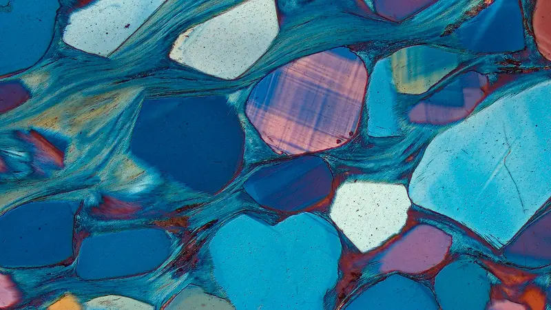 ����廭��������-������