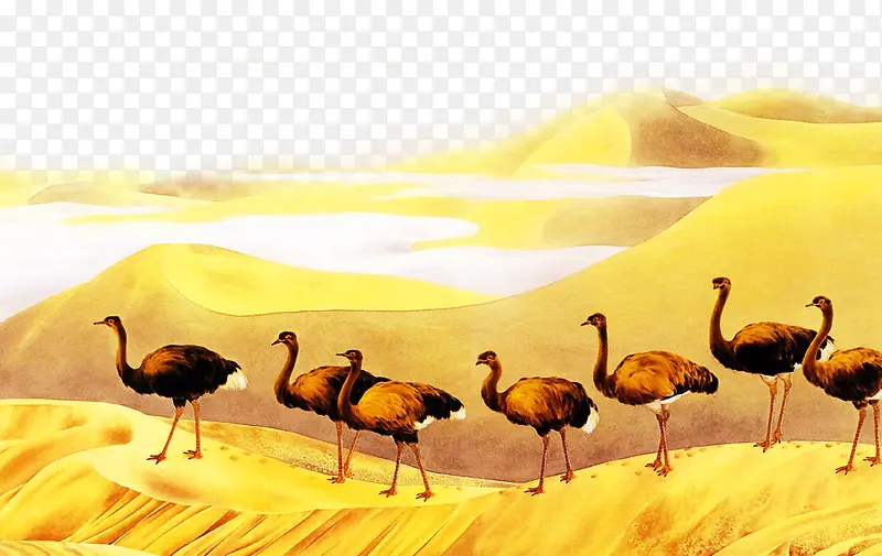 �����ز�-������