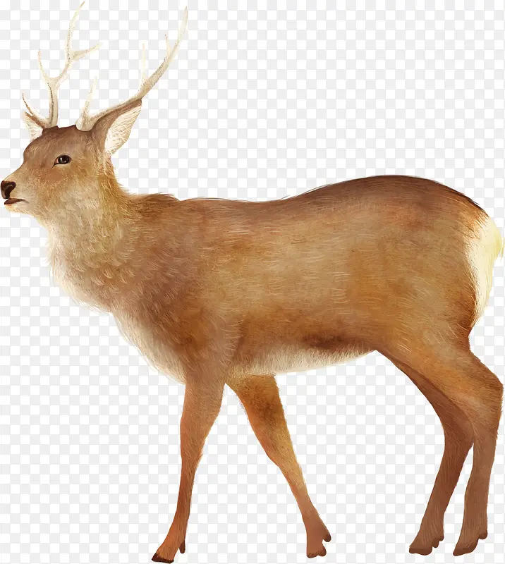 �ֻ���¹�廭ͼƬ-������