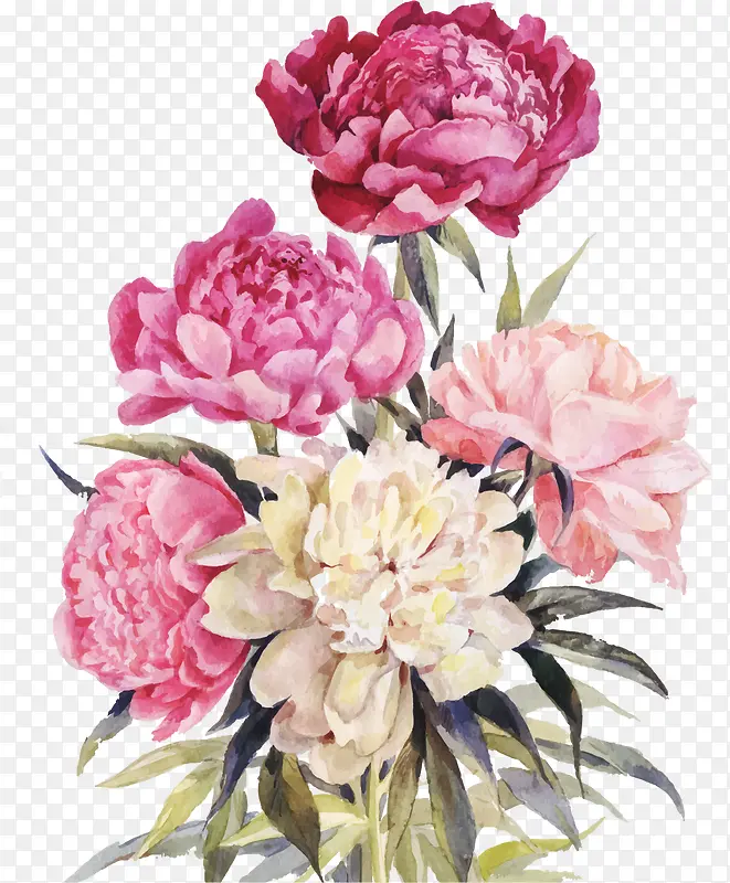 ˮ��ʸ����-������