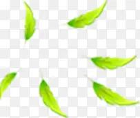 ������ɫ��Ҷ��ӰЧ��-������