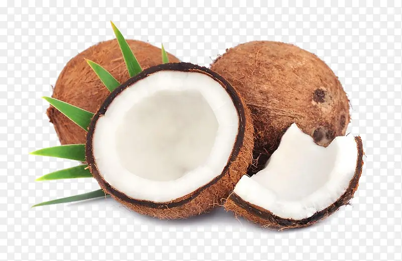 ˮ��Ҭ��-������