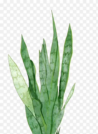 ˮ��«��-������