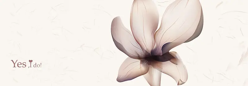 ʱ�а��黨����banner-������