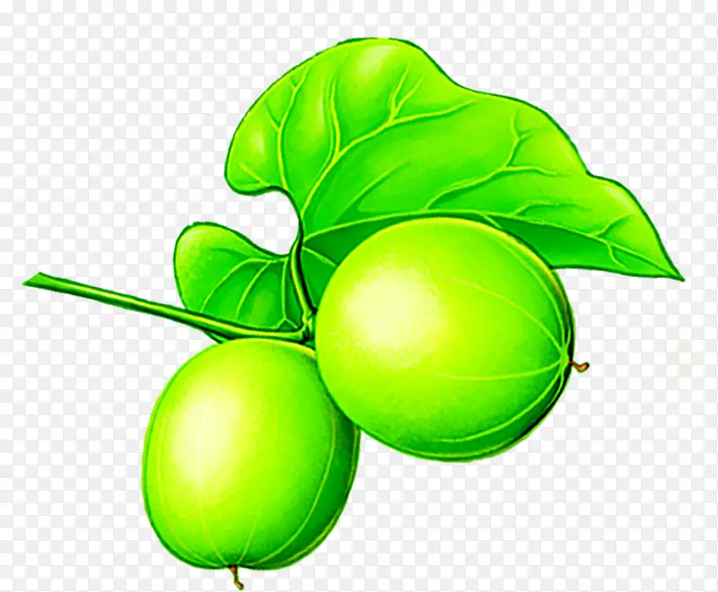 ��ɫ�ɰ��ֻ�����-������