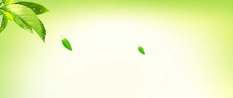 ��ɫ����-������