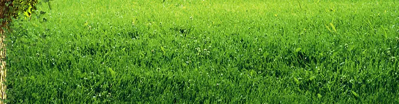 �ݱ���-������