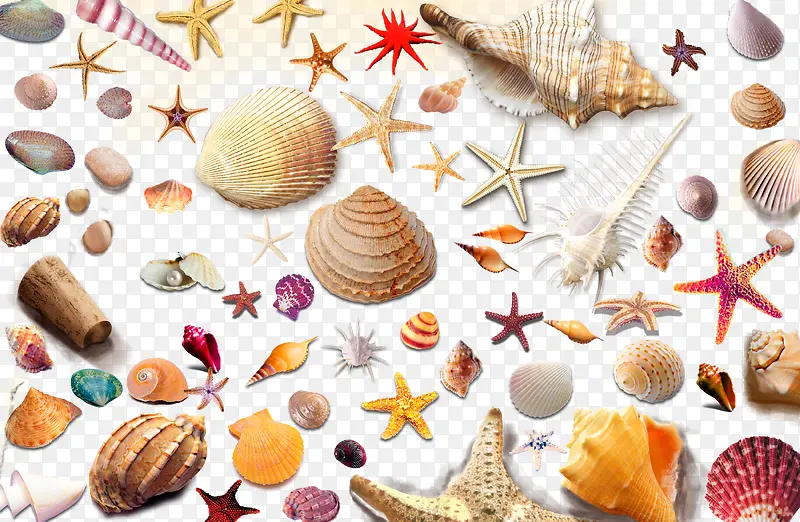 ���ֺ�������-������