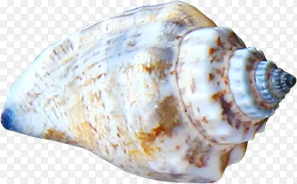 ��ɫ�����ز�-������