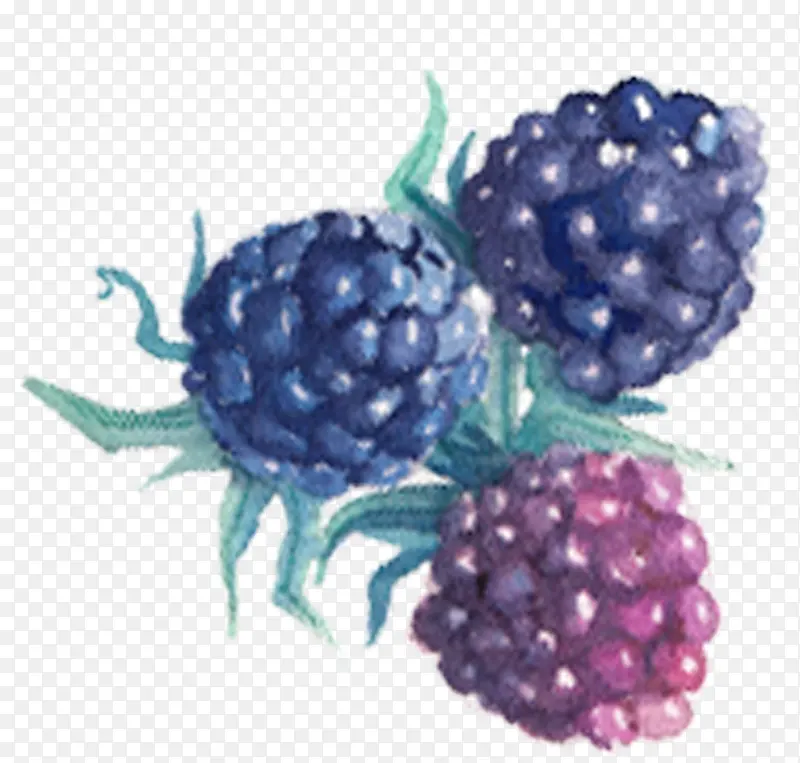 ����ˮ��ݮ������-������