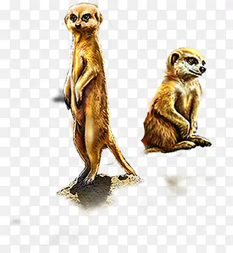 �ֻ涯�ﴴ�����-������