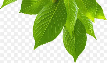 ��ɫʱ�й�Ӱװ��-������