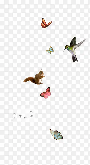 ����-������