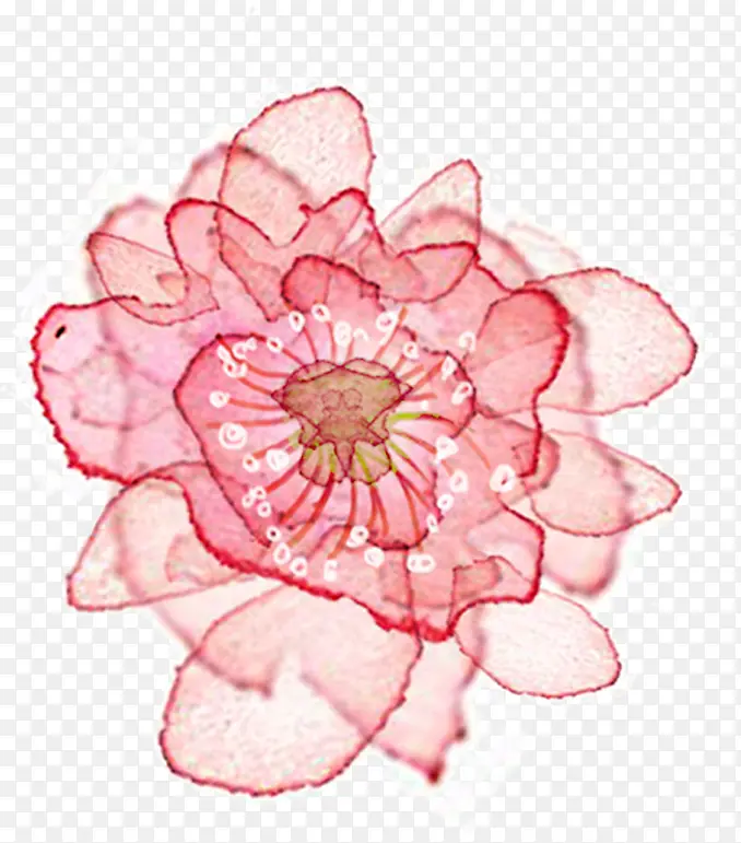 �ֻ�Ψ�����ƴ���-������