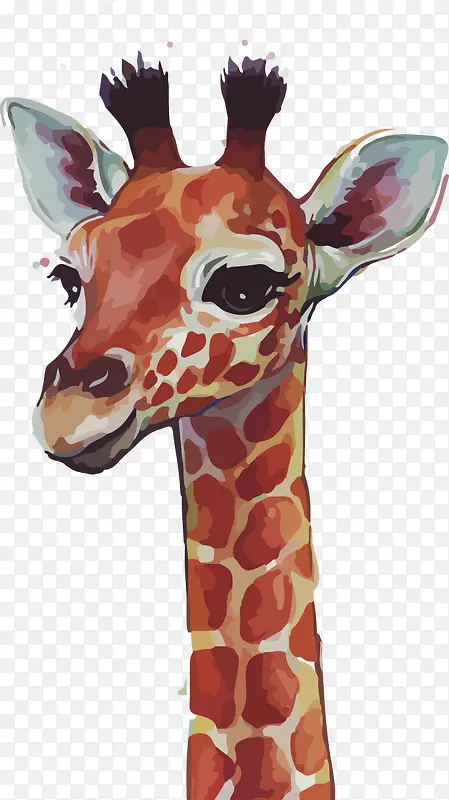 ˮ��¹-������