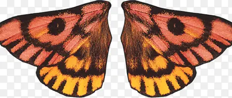 ���������ƺڳ��-������