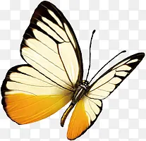 ����ˮ�ʷ羰�޿�-������