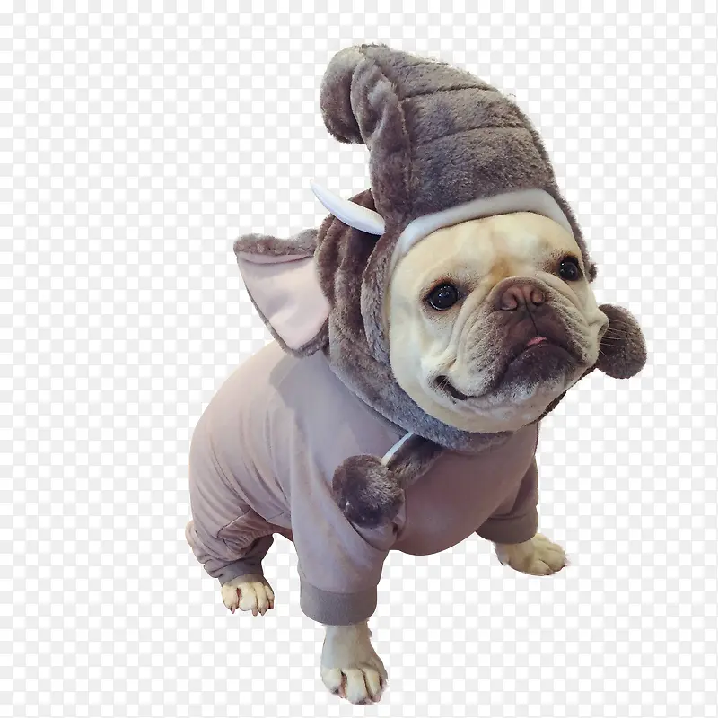 �ɰ�����-������