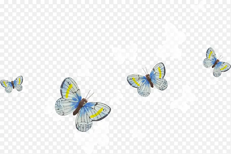 �ĸ���ɫ��ƺ���-������