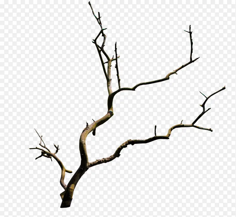 �ﶬ��ή��֦����-������