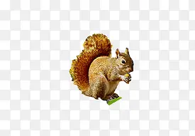 ����-������