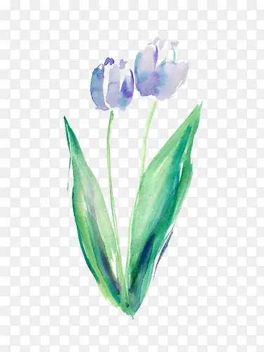 ��ɫ����ܰˮ��ͼ��-������