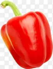 ��ɫ�����߲���콷-������