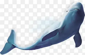 �ɰ�����ͼƬ-������