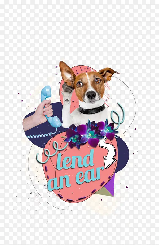 ���绰���ز�-������