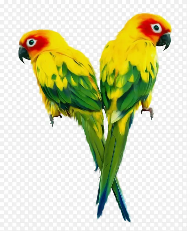 �ɰ�������-������