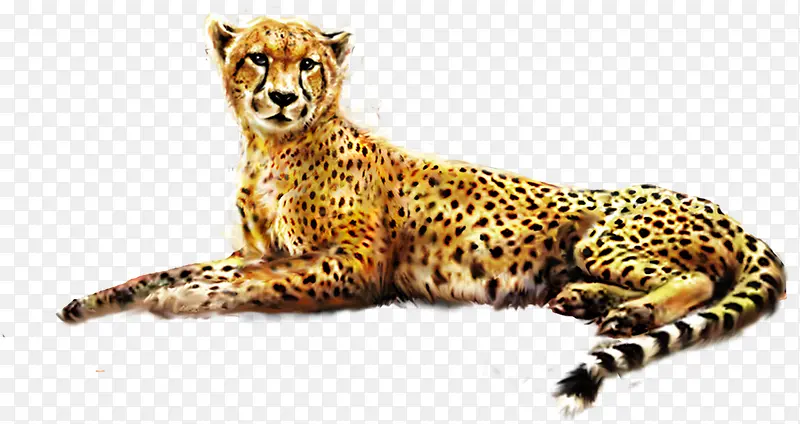 ��ɫ�ɰ��ֻ汪��-������