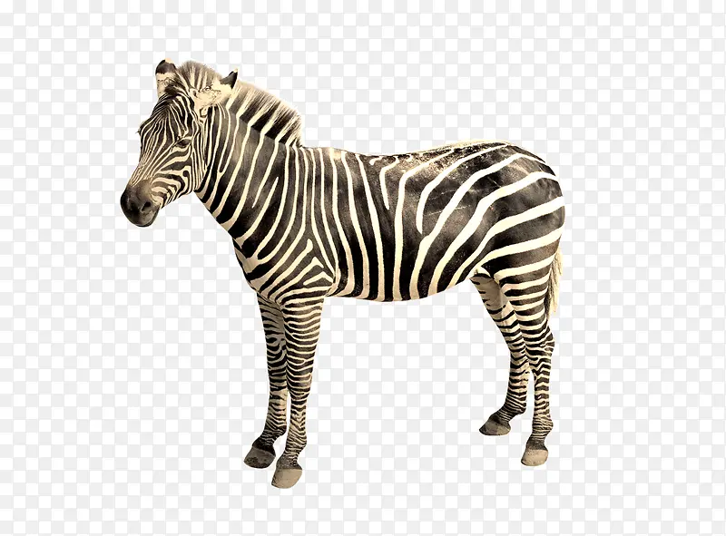 ��Ʒʵ�����-������