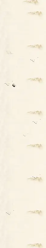 ˮī����-������