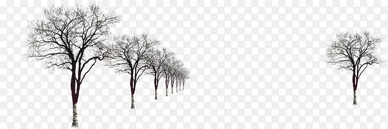 ������֦ѩ��չ��-������