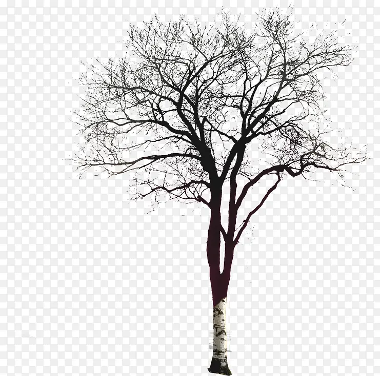 ������֦ѩ������-������