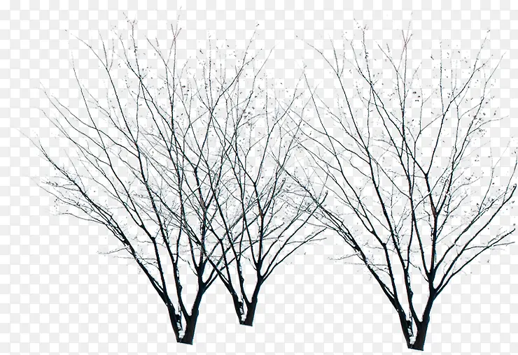 ������֦��ѩ����-������