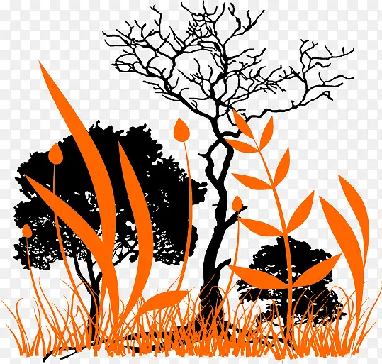 ��֦-������