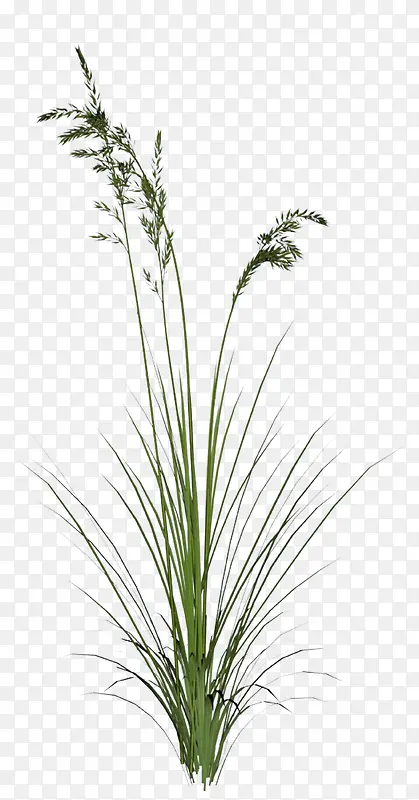 ����-������