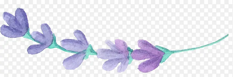 ޹�²�-������