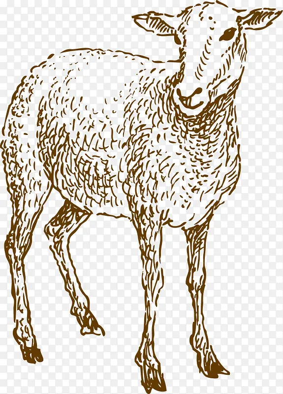 �ֻ�����-������