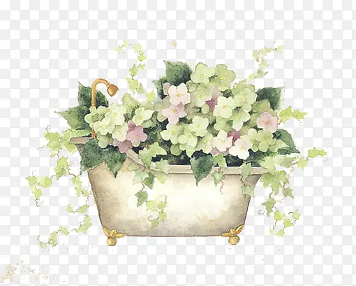 ˮ�ʰ׻�ԡ��-������