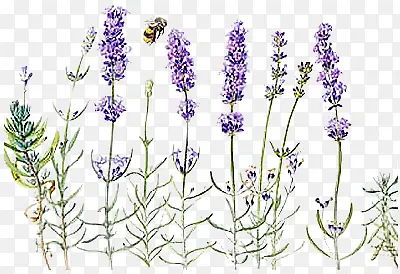 ޹�²���ɫ޹�²�-������