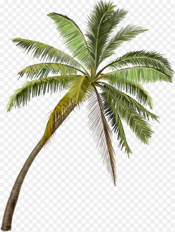 ������Ӱ�羰�������������-������